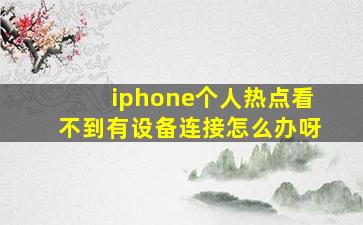 iphone个人热点看不到有设备连接怎么办呀