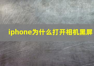 iphone为什么打开相机黑屏