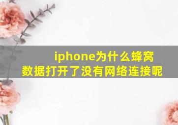 iphone为什么蜂窝数据打开了没有网络连接呢