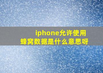 iphone允许使用蜂窝数据是什么意思呀