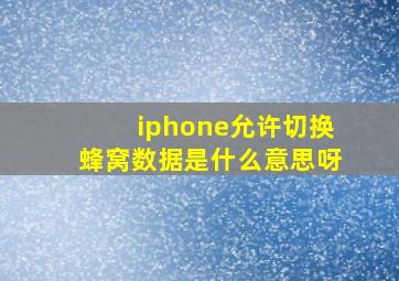 iphone允许切换蜂窝数据是什么意思呀