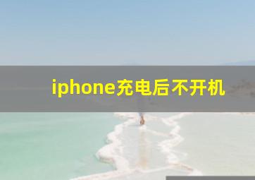 iphone充电后不开机