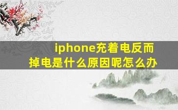 iphone充着电反而掉电是什么原因呢怎么办