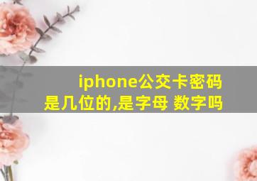 iphone公交卡密码是几位的,是字母+数字吗