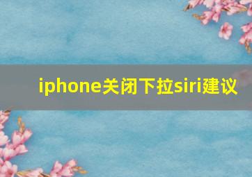 iphone关闭下拉siri建议