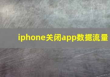 iphone关闭app数据流量