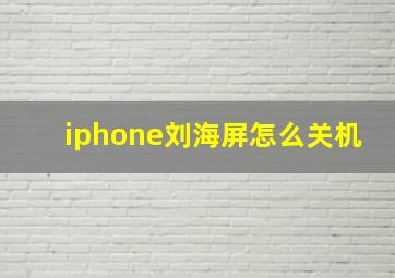 iphone刘海屏怎么关机