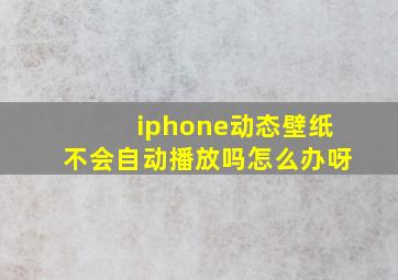 iphone动态壁纸不会自动播放吗怎么办呀