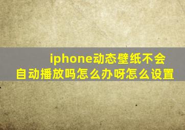 iphone动态壁纸不会自动播放吗怎么办呀怎么设置