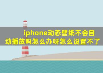 iphone动态壁纸不会自动播放吗怎么办呀怎么设置不了