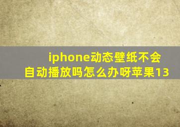 iphone动态壁纸不会自动播放吗怎么办呀苹果13