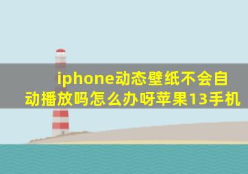 iphone动态壁纸不会自动播放吗怎么办呀苹果13手机