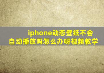 iphone动态壁纸不会自动播放吗怎么办呀视频教学