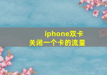 iphone双卡关闭一个卡的流量