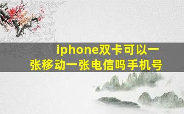 iphone双卡可以一张移动一张电信吗手机号