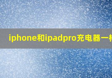 iphone和ipadpro充电器一样吗