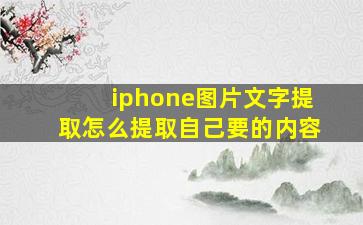 iphone图片文字提取怎么提取自己要的内容