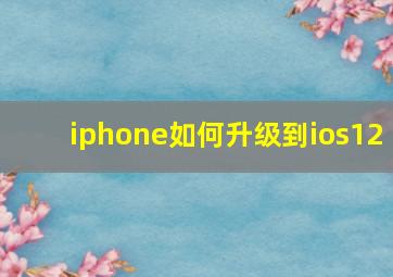 iphone如何升级到ios12