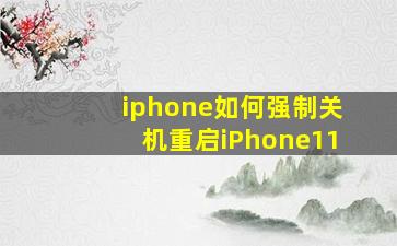 iphone如何强制关机重启iPhone11