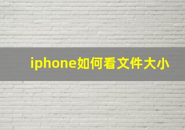 iphone如何看文件大小