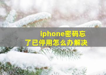 iphone密码忘了已停用怎么办解决