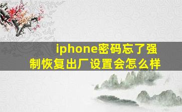 iphone密码忘了强制恢复出厂设置会怎么样