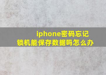 iphone密码忘记锁机能保存数据吗怎么办