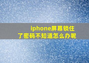 iphone屏幕锁住了密码不知道怎么办呢