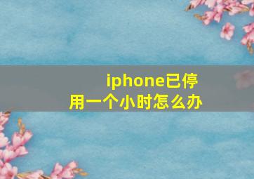 iphone已停用一个小时怎么办