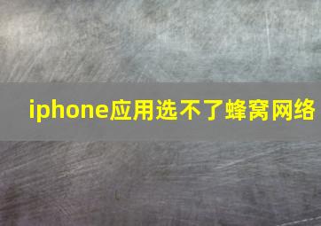 iphone应用选不了蜂窝网络