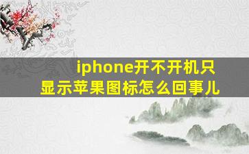 iphone开不开机只显示苹果图标怎么回事儿