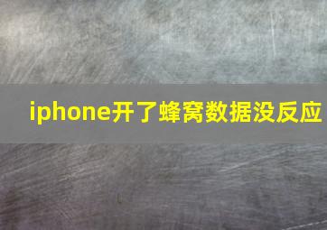 iphone开了蜂窝数据没反应