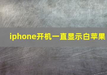 iphone开机一直显示白苹果