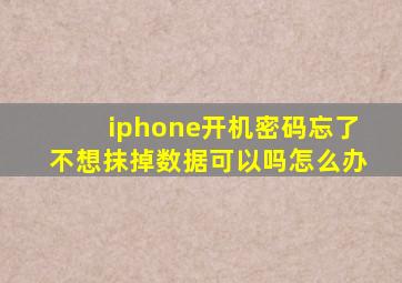 iphone开机密码忘了不想抹掉数据可以吗怎么办