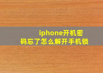 iphone开机密码忘了怎么解开手机锁