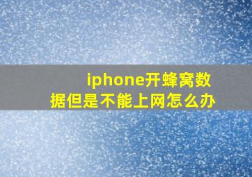 iphone开蜂窝数据但是不能上网怎么办