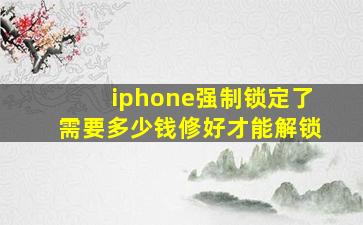 iphone强制锁定了需要多少钱修好才能解锁