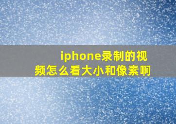 iphone录制的视频怎么看大小和像素啊