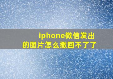 iphone微信发出的图片怎么撤回不了了