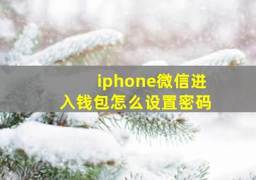 iphone微信进入钱包怎么设置密码