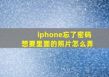 iphone忘了密码想要里面的照片怎么弄