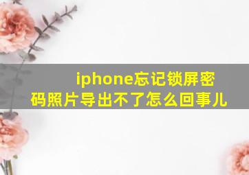 iphone忘记锁屏密码照片导出不了怎么回事儿