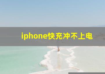 iphone快充冲不上电