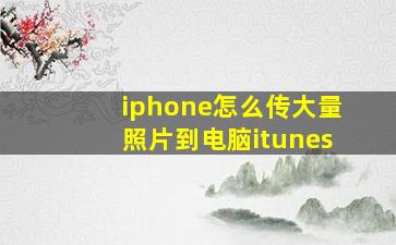 iphone怎么传大量照片到电脑itunes