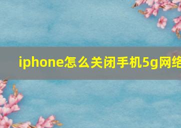 iphone怎么关闭手机5g网络