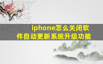 iphone怎么关闭软件自动更新系统升级功能