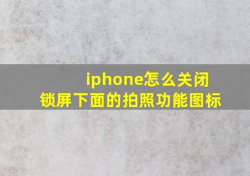 iphone怎么关闭锁屏下面的拍照功能图标