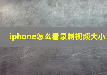 iphone怎么看录制视频大小