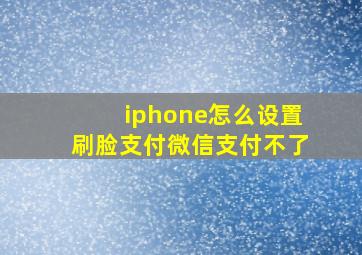 iphone怎么设置刷脸支付微信支付不了