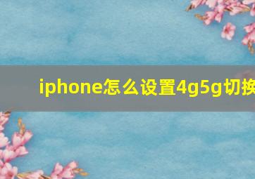 iphone怎么设置4g5g切换